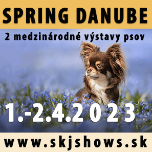 Spring Danube / 2 international dog shows